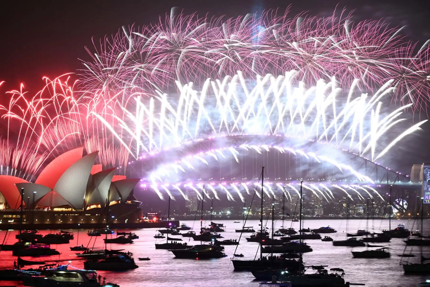 Australia recibe el 2020 con fuegos artificiales. Foto: AFP