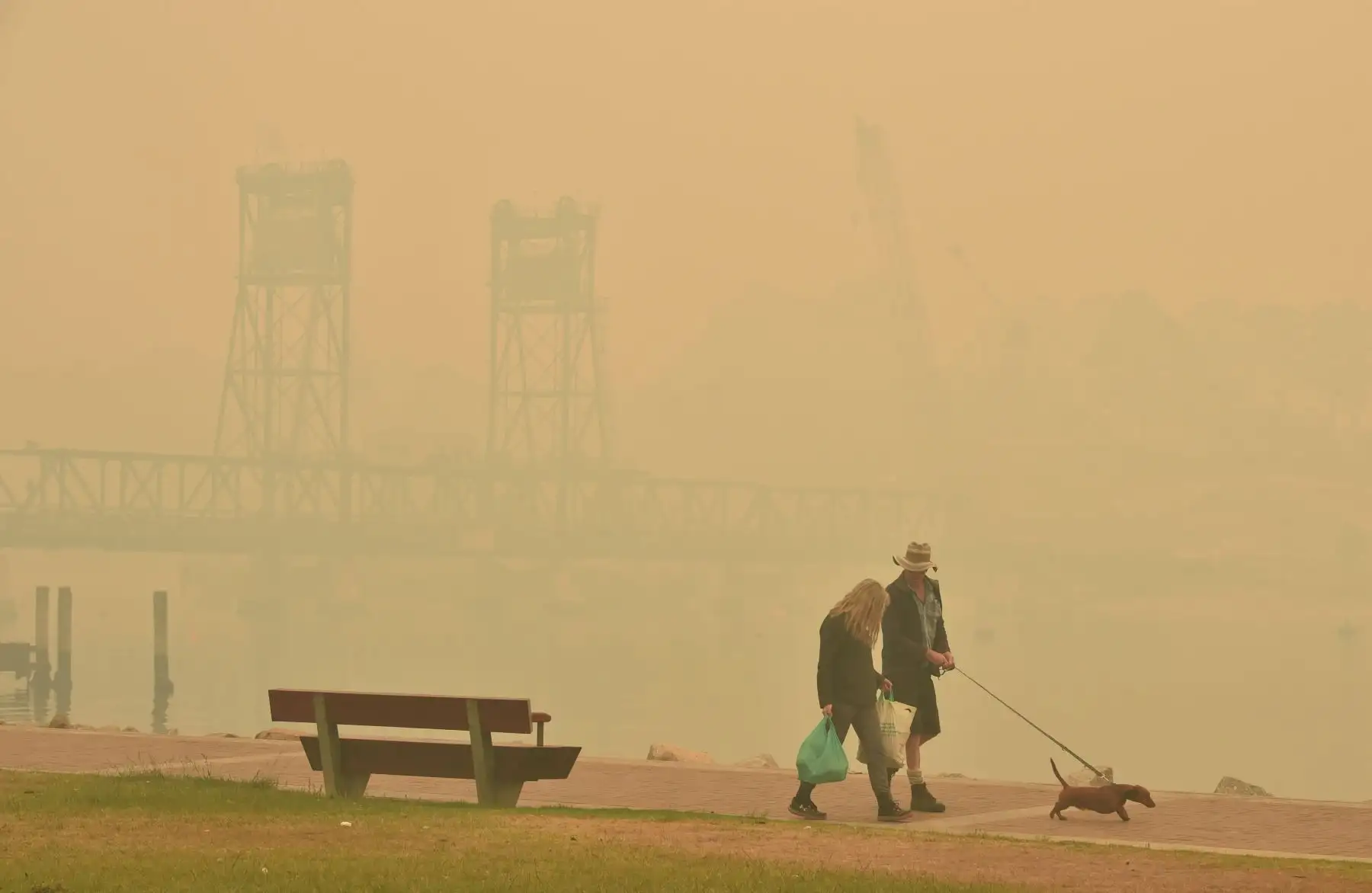 Los turistas caminan con un perro a través del denso humo de los incendios forestales frente al puente de Batemans Bay mientras los autos hacen fila para salir de la ciudad de Nueva Gales del Sur para dirigirse al norte.
Foto: AFP