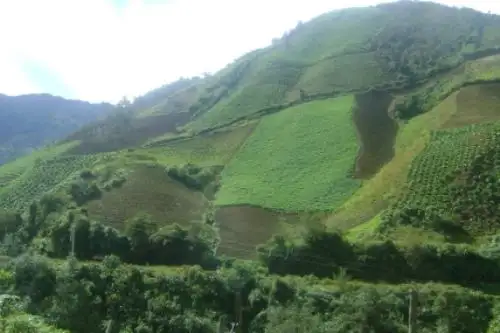 El Ministerio del Ambiente estableció el Área de Conservación Regional Bosque Montano de Carpish, ubicada en el departamento de Huánuco.