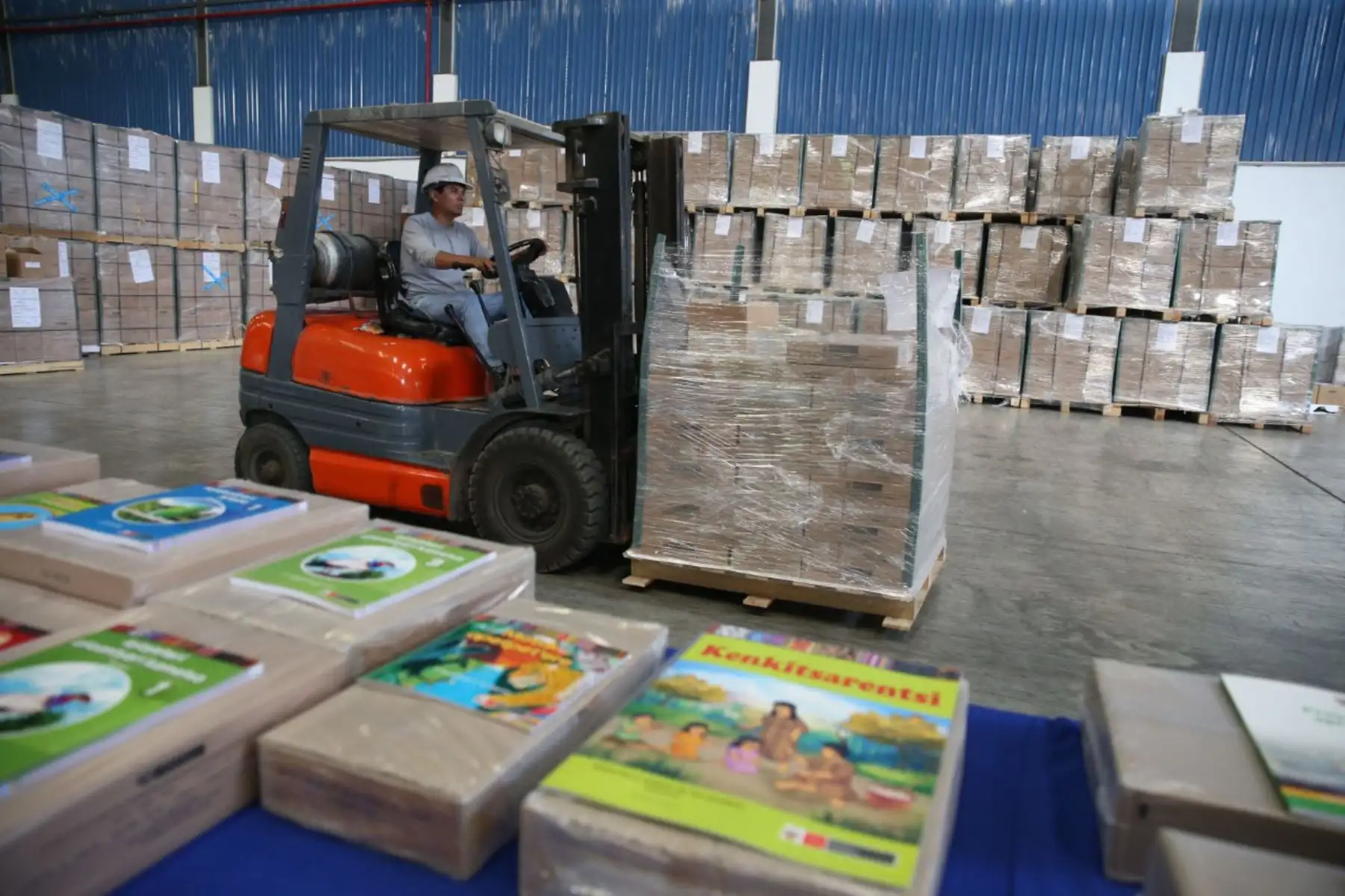 El Ministerio de Educación distribuyó a la fecha 11 millones y medio de materiales educativos para todo el país, con miras al buen inicio del año escolar 2020.