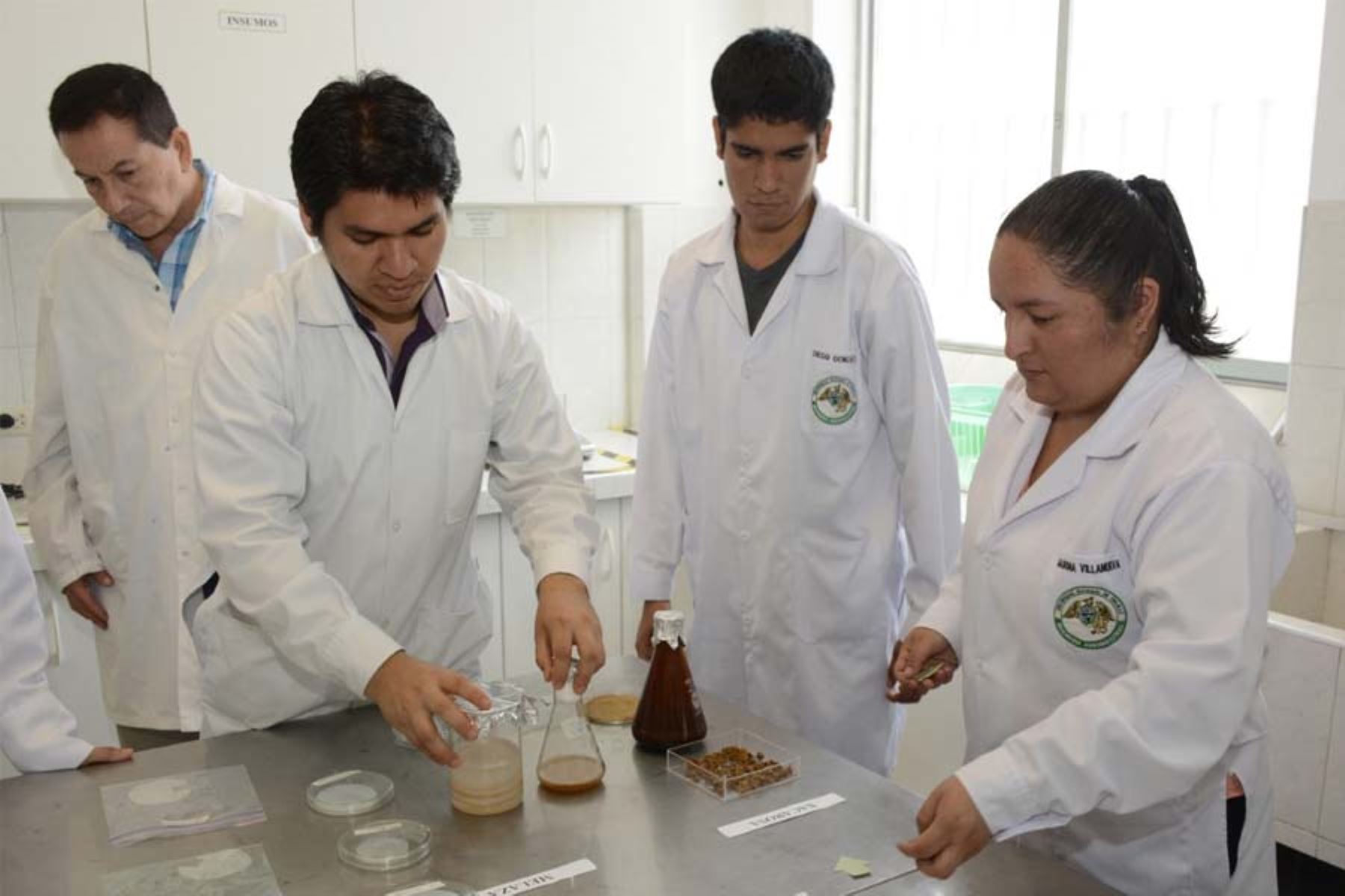 Des scientifiques péruviens reçoivent des subventions pour mener des recherches en France |  Nouvelles