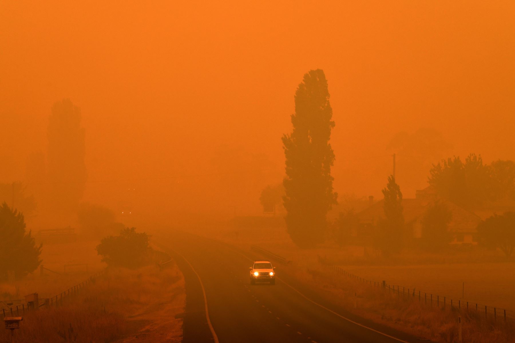 Los residentes viajan en una carretera a través del espeso humo de los incendios forestales en Bemboka, en el estado australiano de Nueva Gales del Sur.
Foto: AFP