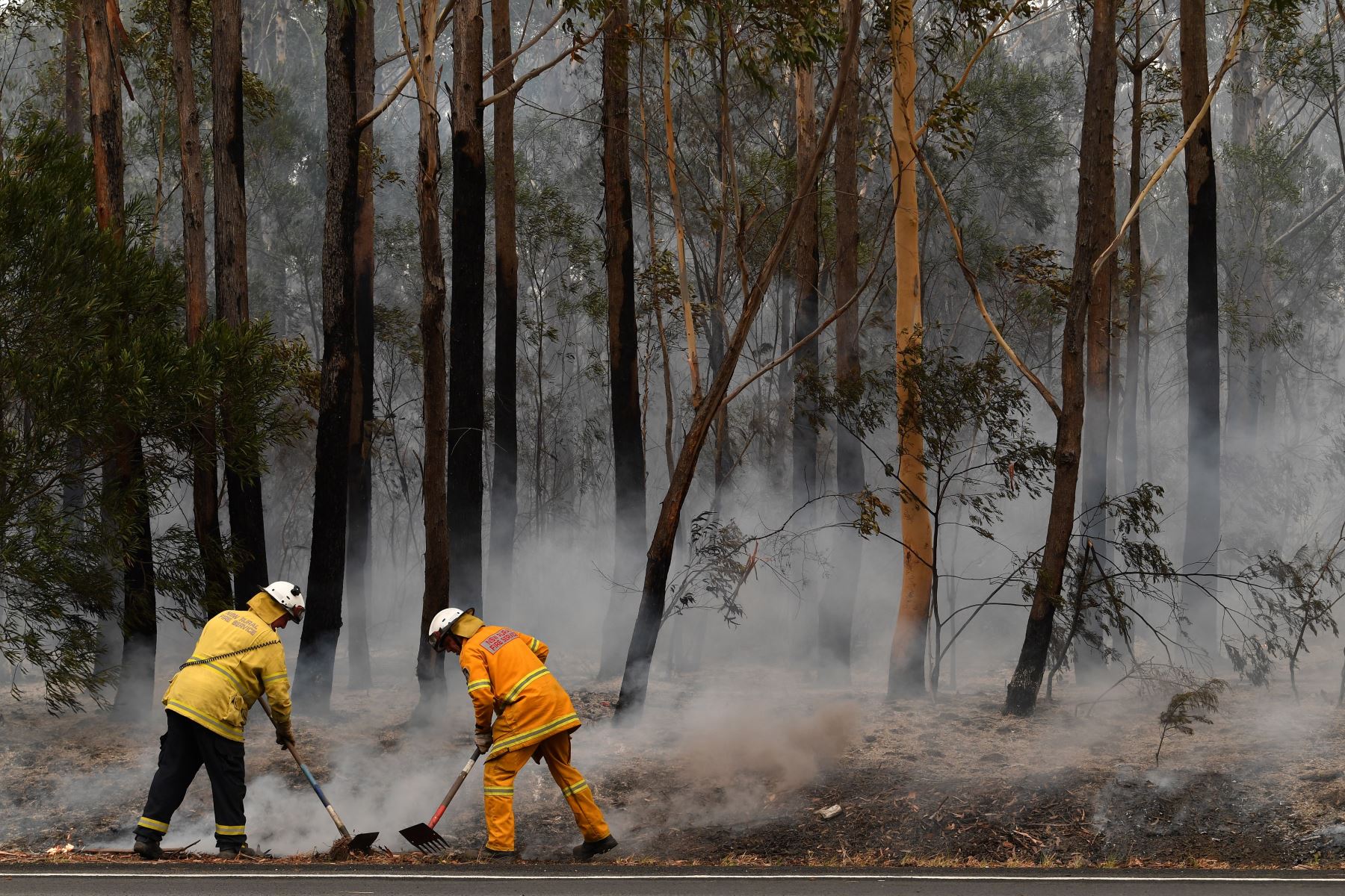 Los bomberos trabajan para contener un pequeño incendio forestal, que cerró la autopista Princes Highway, cerca de Ulladulla, Australia.
Foto: AFP