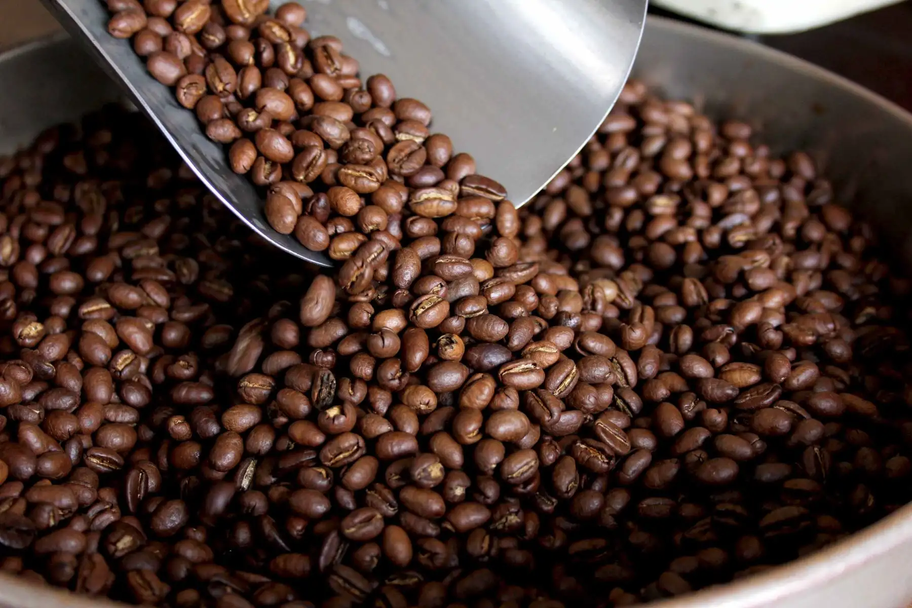 Café. Foto: Cortesía