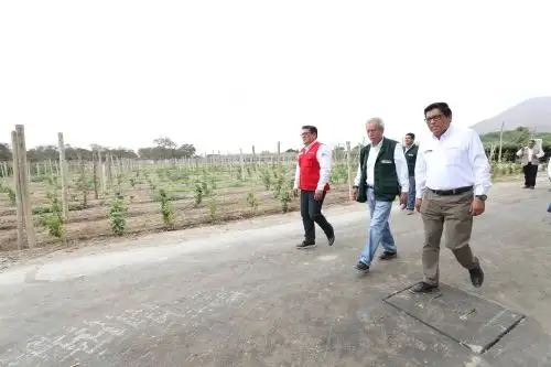 Foto: ANDINA/Prensa Presidencia