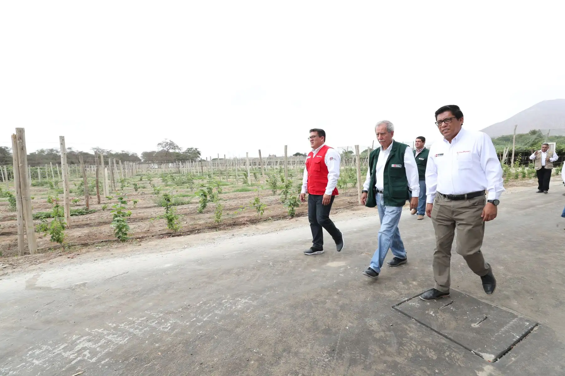 Foto: ANDINA/Prensa Presidencia