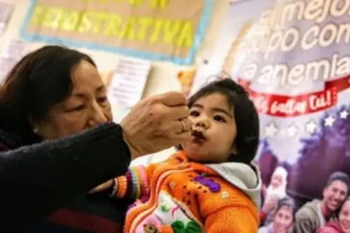 La anemia se puede combatir con éxito con alimentación complementaria a los bebés desde los seis meses de edad y a las gestantes. Esta alimentación complementaria debe incluir diariamente alimentos de origen animal, ricos en hierro, entre otros.
