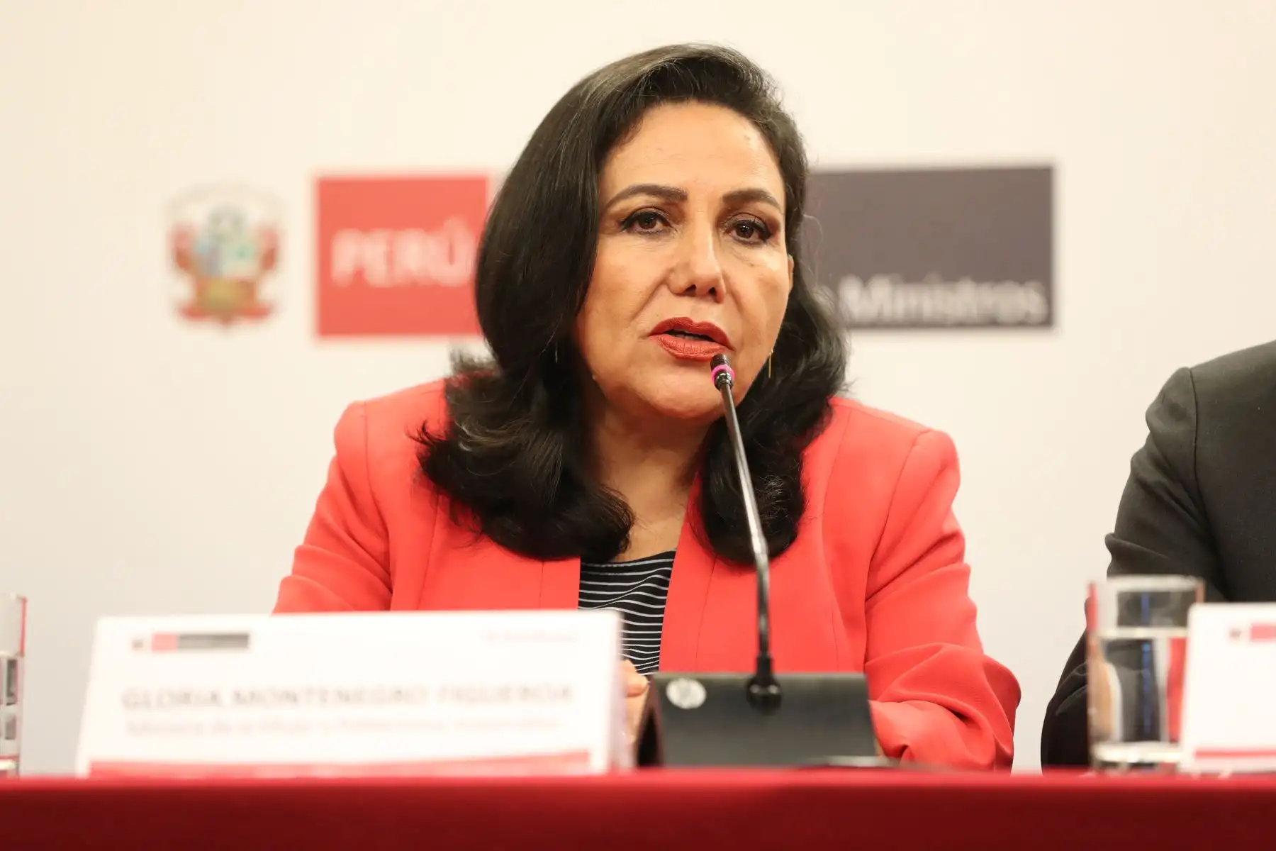 ANDINA/Prensa Presidencia