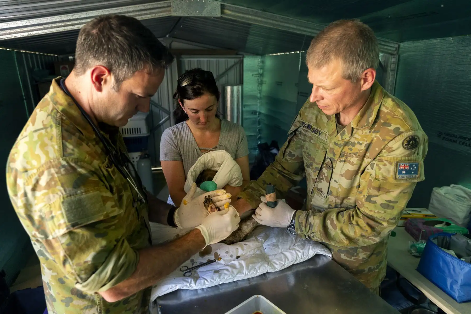 Departamento de Defensa de Australia muestra a un bebé koala huérfano alimentado por el soldado Tyler Moseley-Greatwic.
Los bomberos corrieron para sofocar incendios forestales masivos en el sureste de Australia.
Foto: AFP