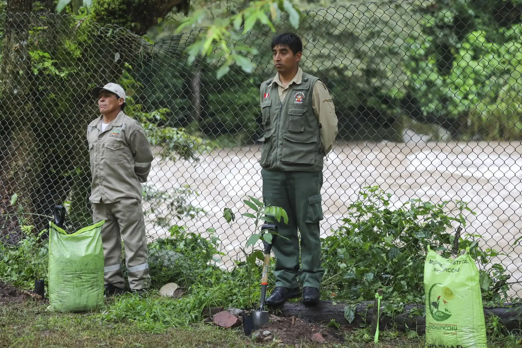 Presidente Martín Vizcarra promueve reforestación de un millón de árboles para el Santuario Histórico Machupicchu  y de su zona de amortiguamiento.Foto: ANDINA/Prensa Presidencia