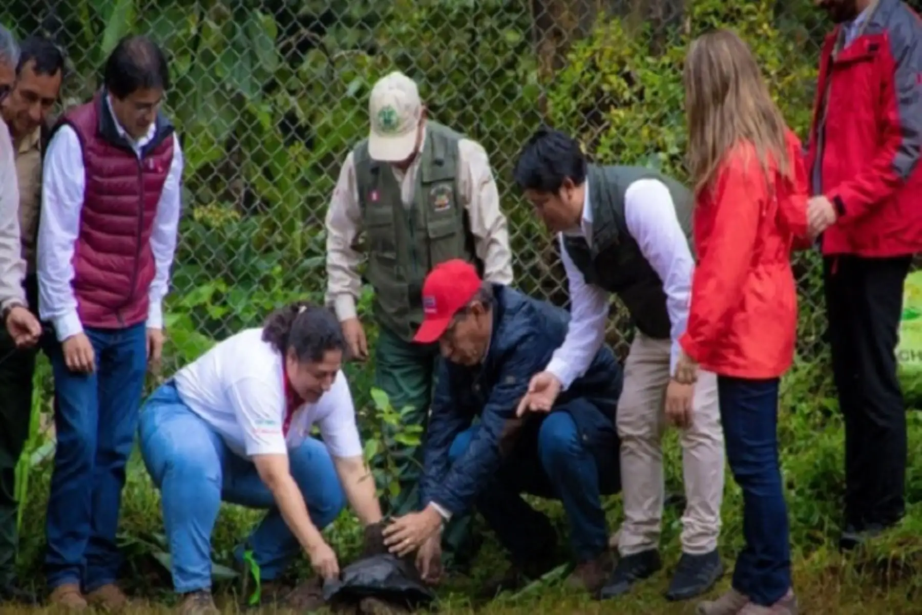 Reto al 2021 es recuperar espacios degradados en Santuario Histórico de Machu Picchu