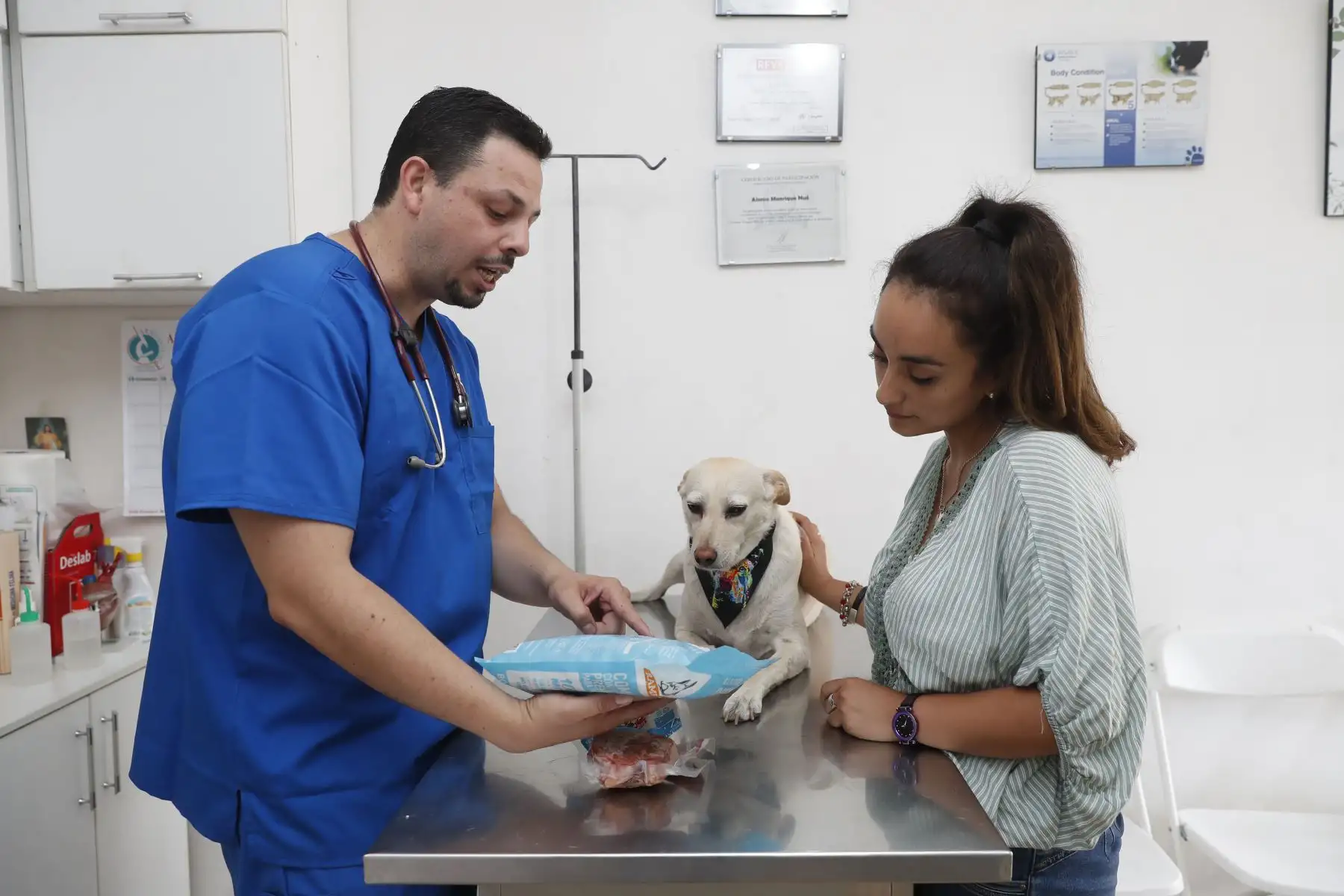 La comida natural para mascotas les garantiza hidratación durante el verano. ANDINA/Renato Pajuelo