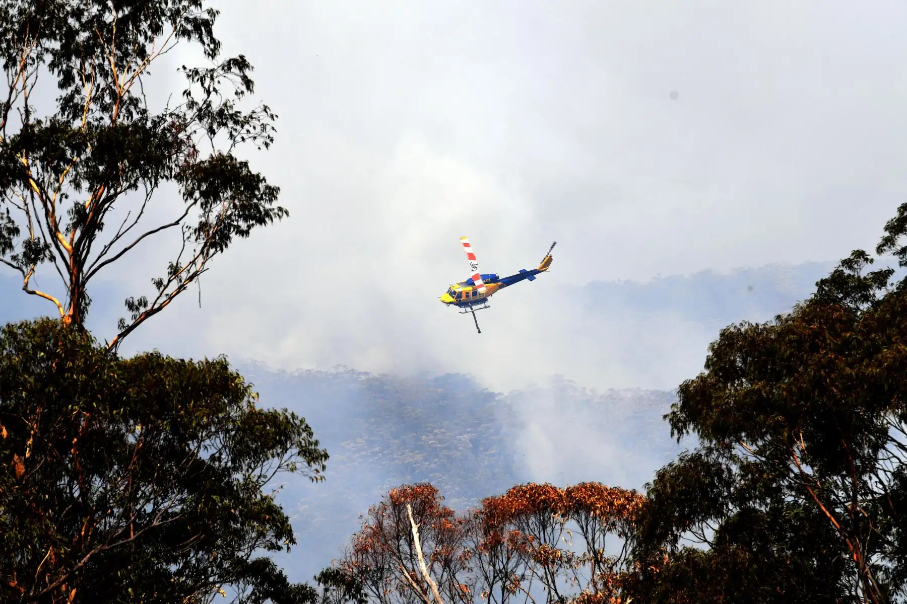 Un helicóptero vuela para sofocar los incendios forestales en Penrose, en el estado de Nueva Gales del Sur de Australia. Foto: AFP
