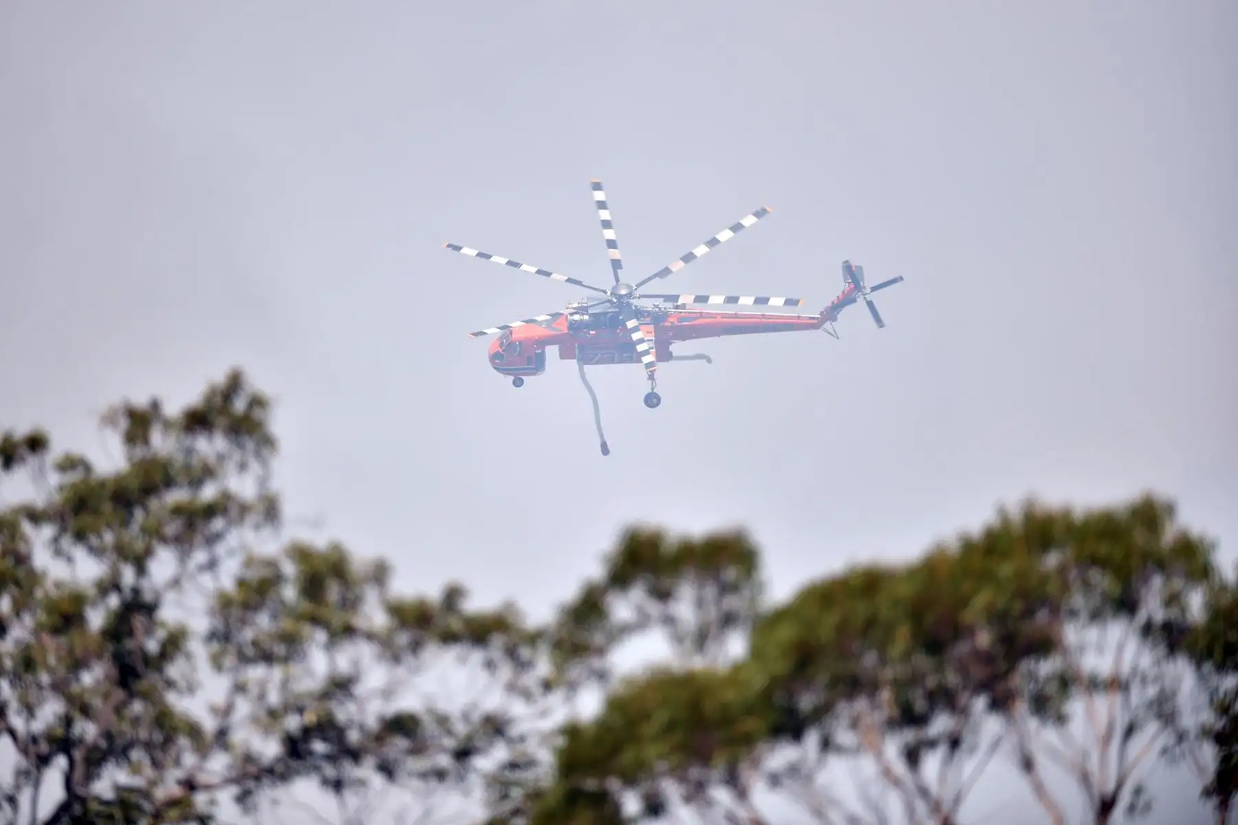 Un helicóptero vuela para sofocar los incendios forestales en Penrose, en el estado de Nueva Gales del Sur de Australia. Foto: AFP