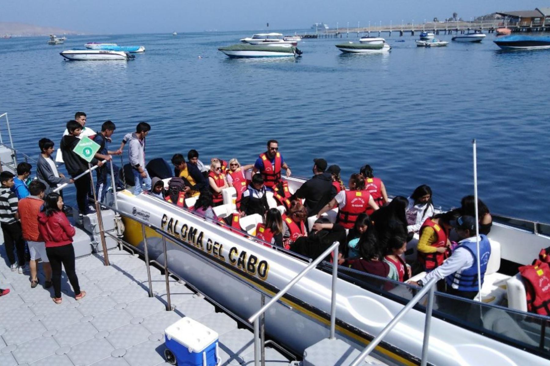Personal del MTC fiscaliza actividades del servicio de transporte turístico acuático en Paracas, en Ica. ANDINA/Difusión