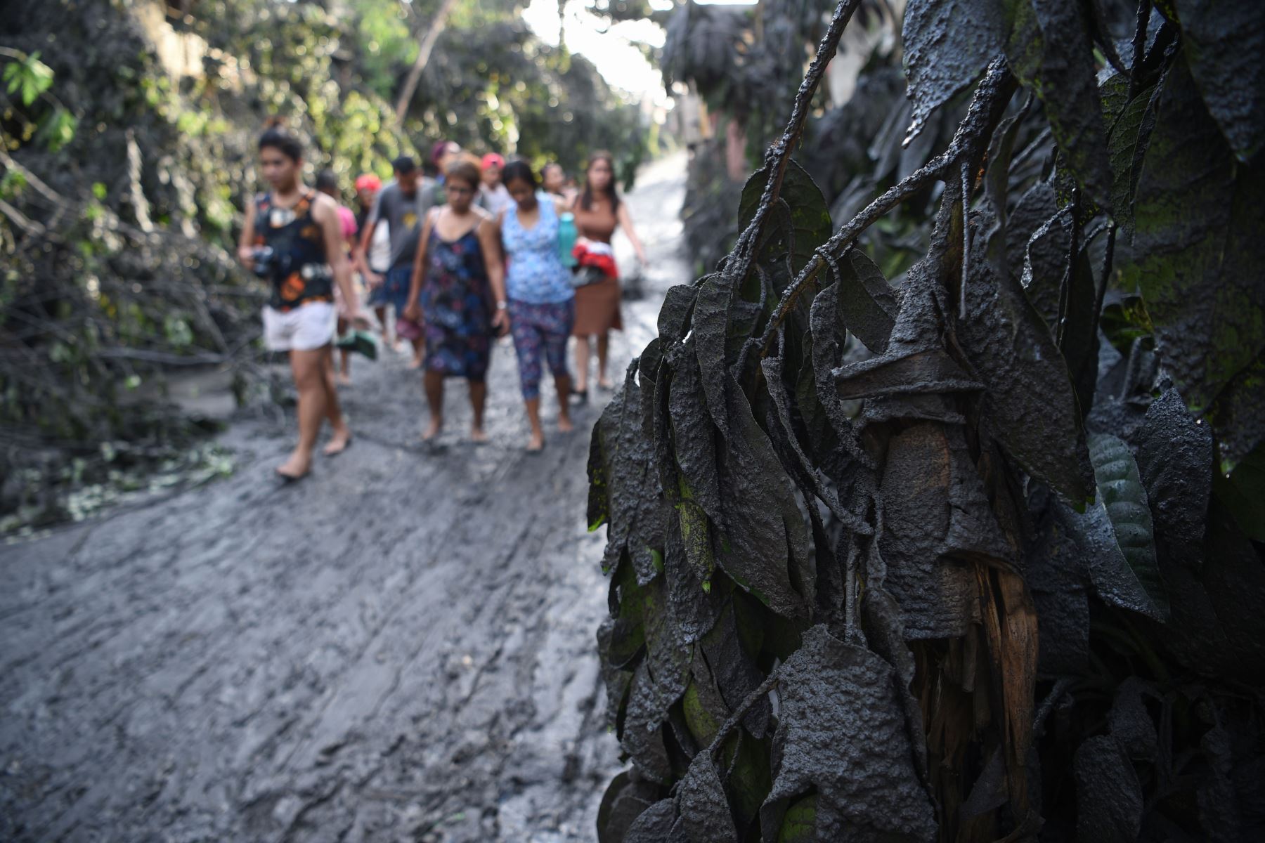 Residentes caminan por una carretera embarrada después de que el volcán Taal comenzara a arrojar cenizas. Foto: AFP
