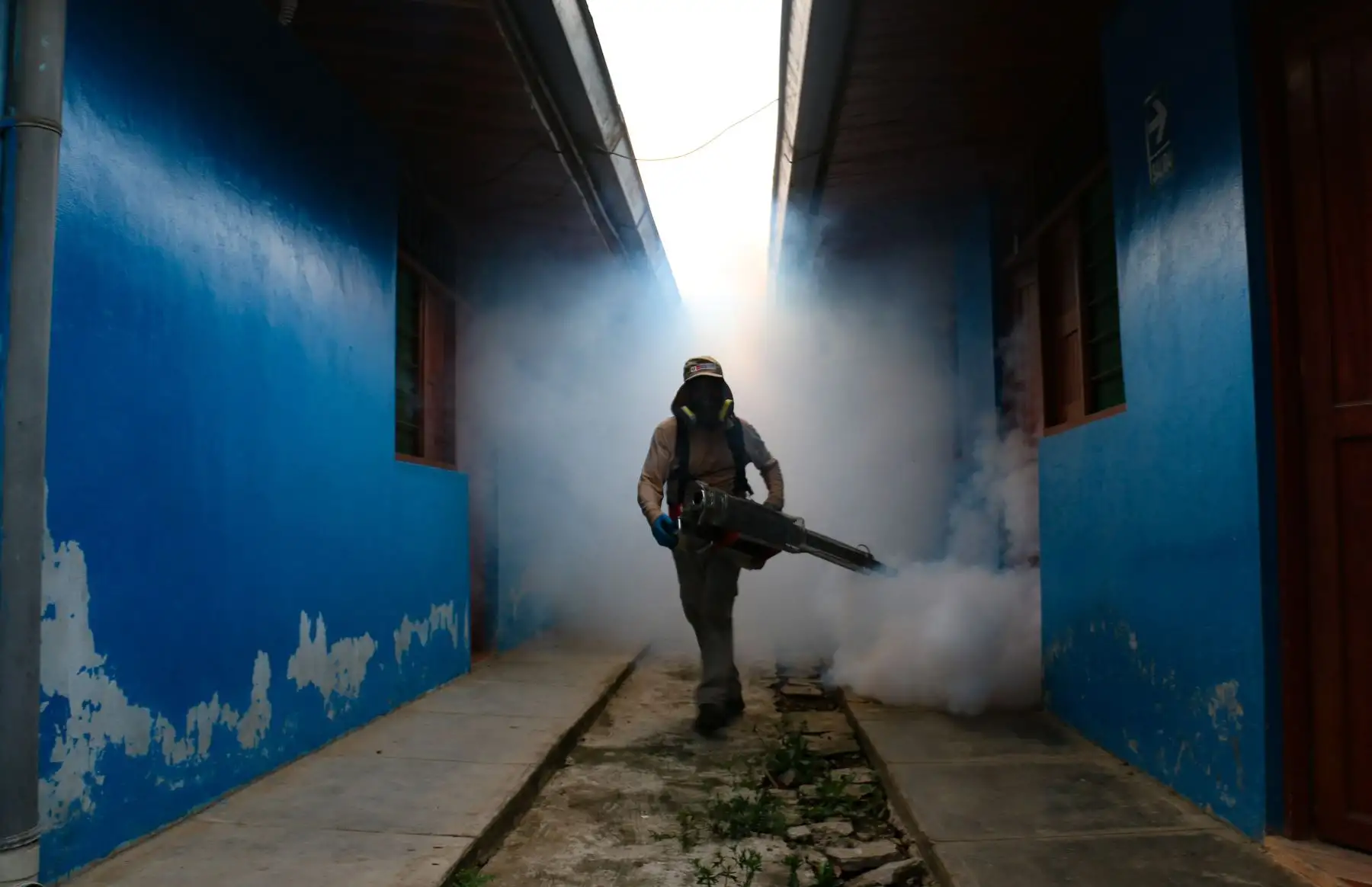 Ministerio de Salud transfiere S/ 4.3 millones a Loreto, Madre de Dios y San Martín para combatir el dengue. ANDINA/Difusión