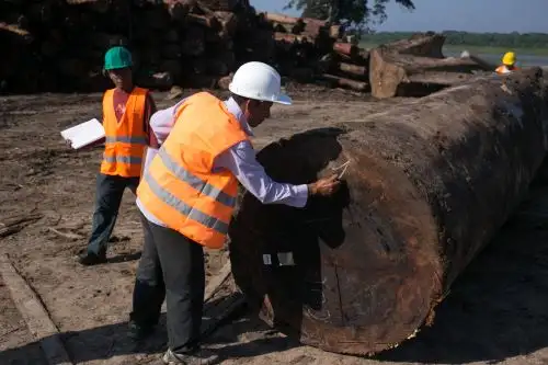 Capacitarán a funcionarios regionales y líderes indígenas en el uso del libro de operaciones para el registro de información de la madera aprovechada y/o transformada en el bosque. ANDINA/Difusión