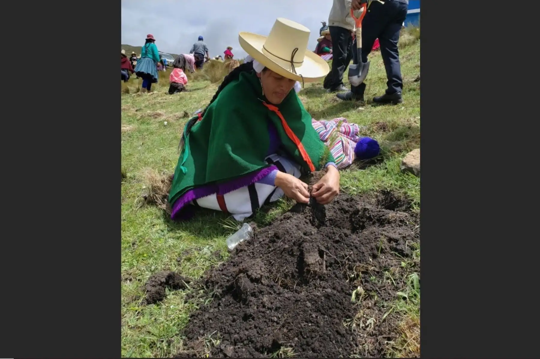 Campaña de reforestación prevé sembrar 1.6 millones de plantones en 16 regiones.