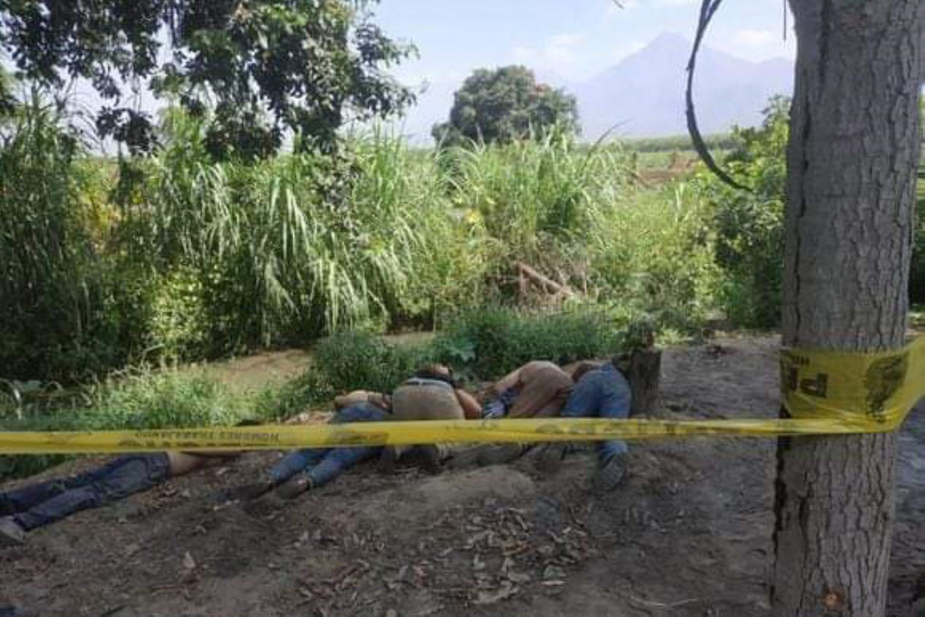 Policía halla a cinco personas sin vida en el distrito de Laredo, provincia de Trujillo, región La Libertad.