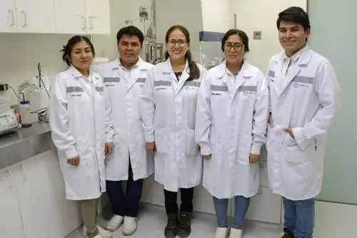 El balance desde 2016 arroja que 74 proyectos, presentados por 61 empresas, han sido aprobados en el marco de la Ley N° 30309.