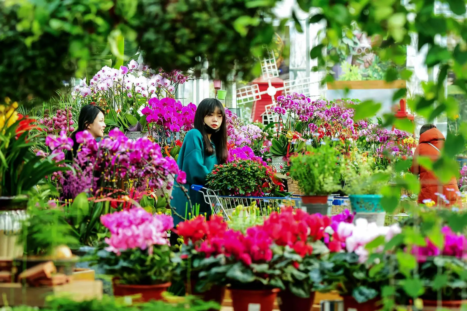 Un cliente compra flores en un mercado en Qingdao, en la provincia oriental china de Shandong, antes del Año Nuevo Lunar.
Foto: AFP