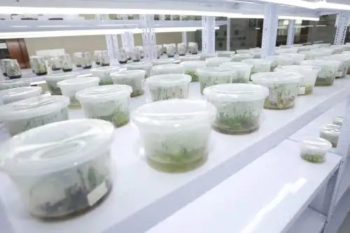 INIA impulsará proyectos de investigación e innovación agrícola en la región Ucayali. ANDINA/Difusión