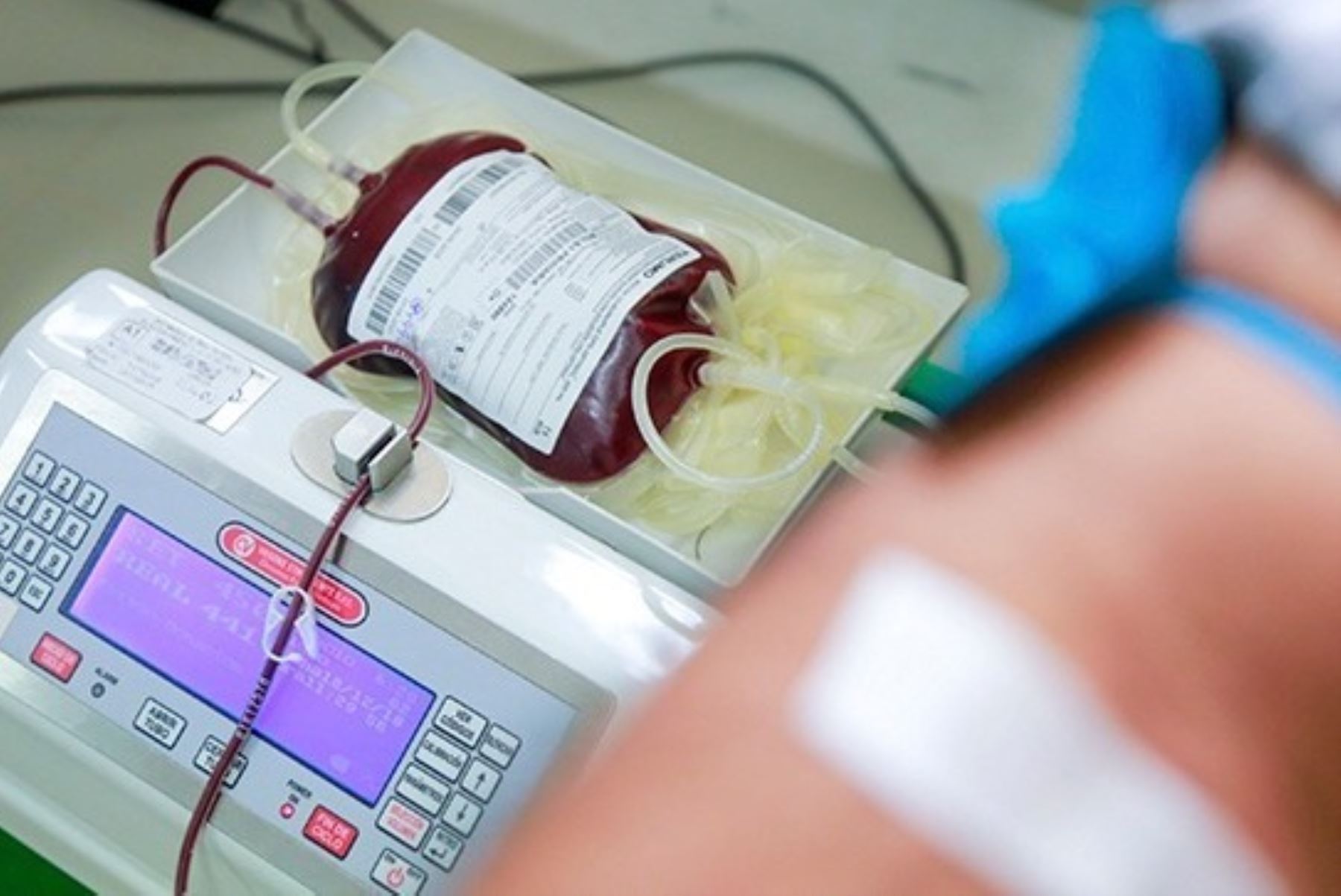 Minsa: donación de sangre se incrementó a 13,5% durante el 2019. Foto: ANDINA/Difusión.