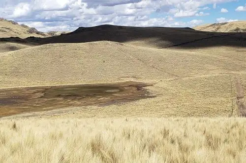 Cortesía