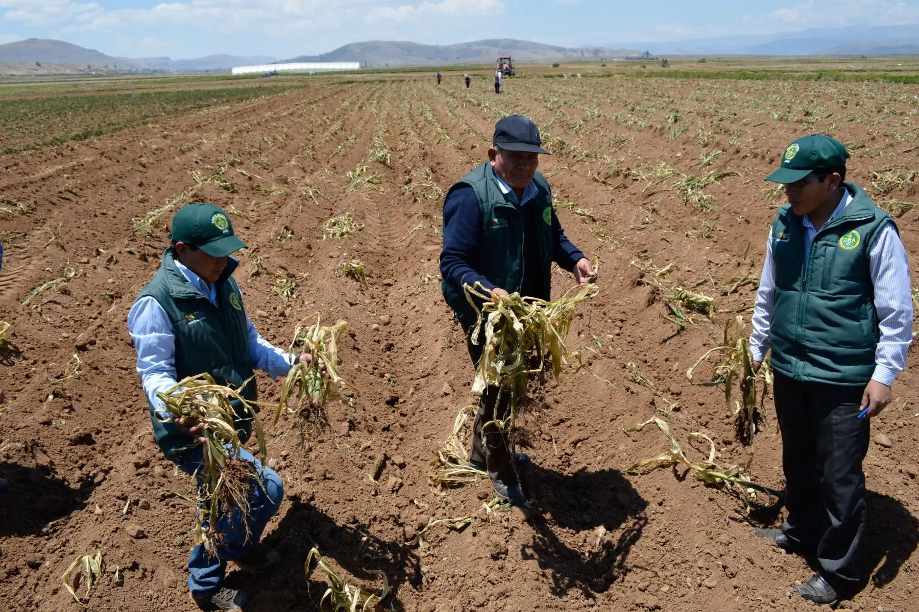 Agricultores de Junín afectados por inundaciones, heladas y otros eventos accederán a seguro agrario catastrófico. ANDINA/Difusión