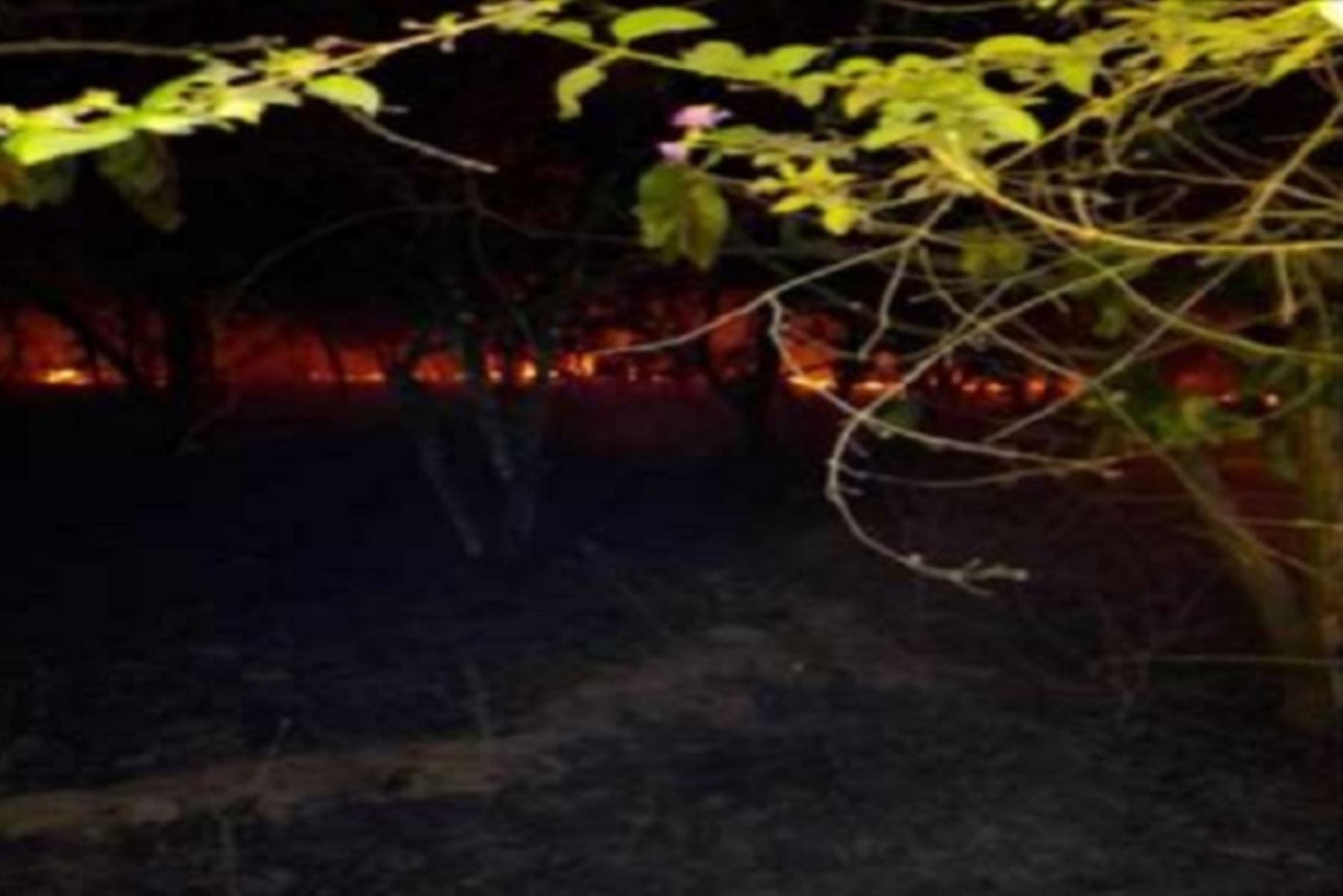 Incendio forestal en Tumbes dañó 1.5 hectáreas de cobertura natural