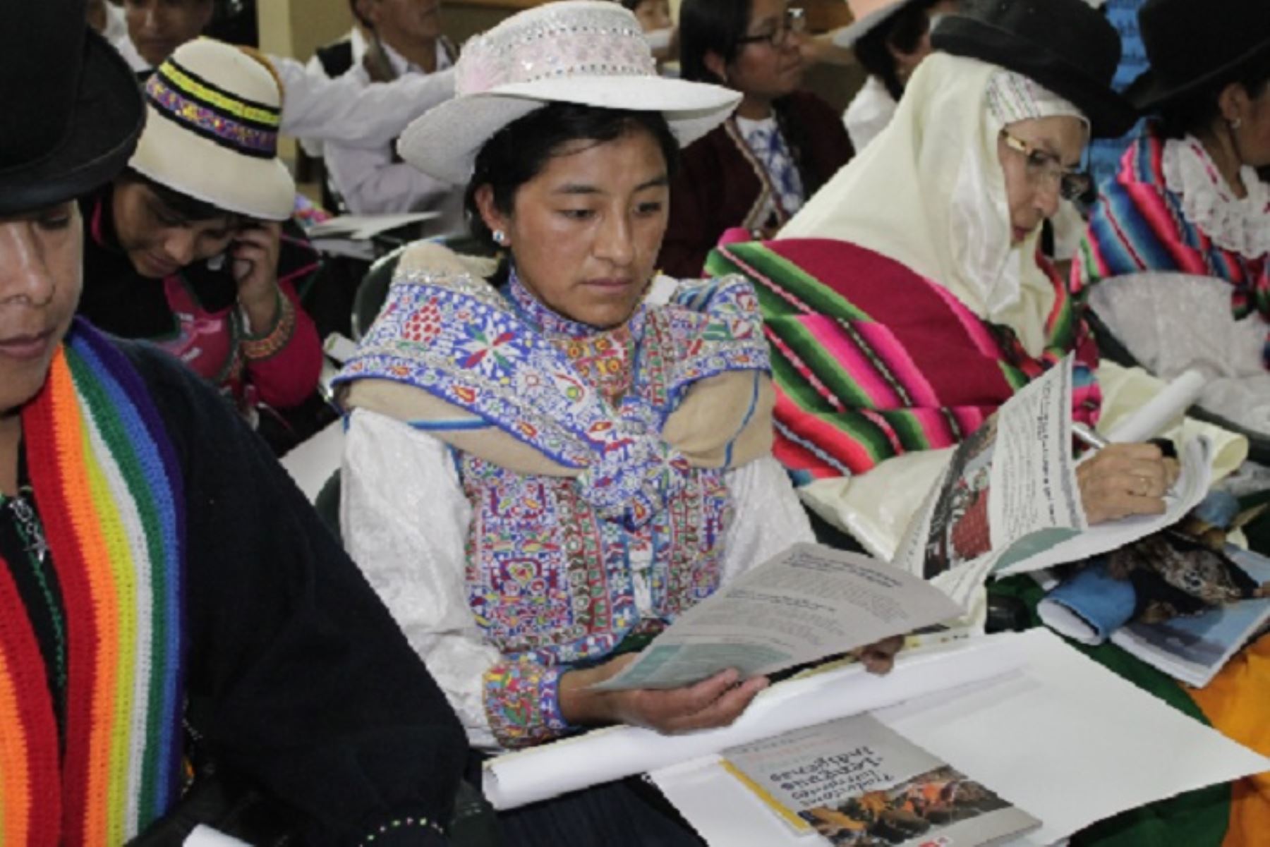 El Perú cuenta actualmente con 48 lenguas originarias identificadas que son habladas por cuatro millones y medio de personas