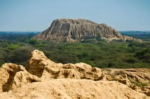El patrimonio arqueológico del santuario histórico Bosque de Pómac se encuentra en peligro.