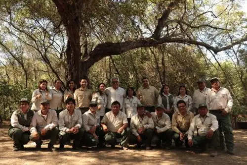Zona recuperada del Santuario Histórico Bosque de Pómac, en Lambayeque, ya está restaurada al 100 %. ANDINA/Difusión