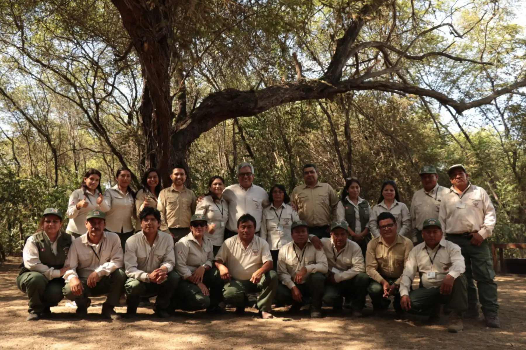 Zona recuperada del Santuario Histórico Bosque de Pómac, en Lambayeque, ya está restaurada al 100 %. ANDINA/Difusión