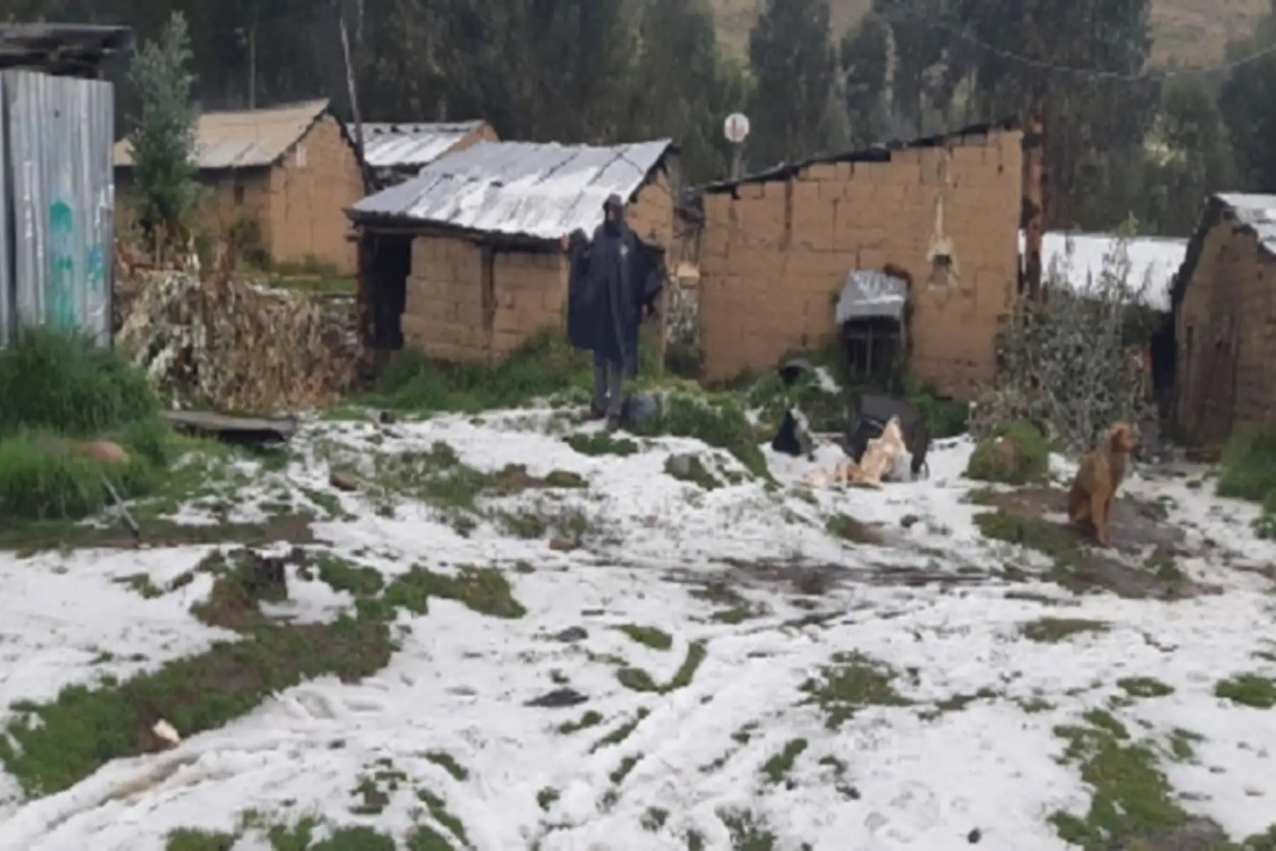 El Centro de Operaciones de Emergencia Regional (COER) de Áncash reportó que granizadas afectaron a 25 viviendas en el distrito de Anta, provincia de Carhuaz, en la Sierra de este departamento. ANDINA/Archivo