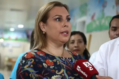 Foto: ANDINA/Vidal Tarqui.