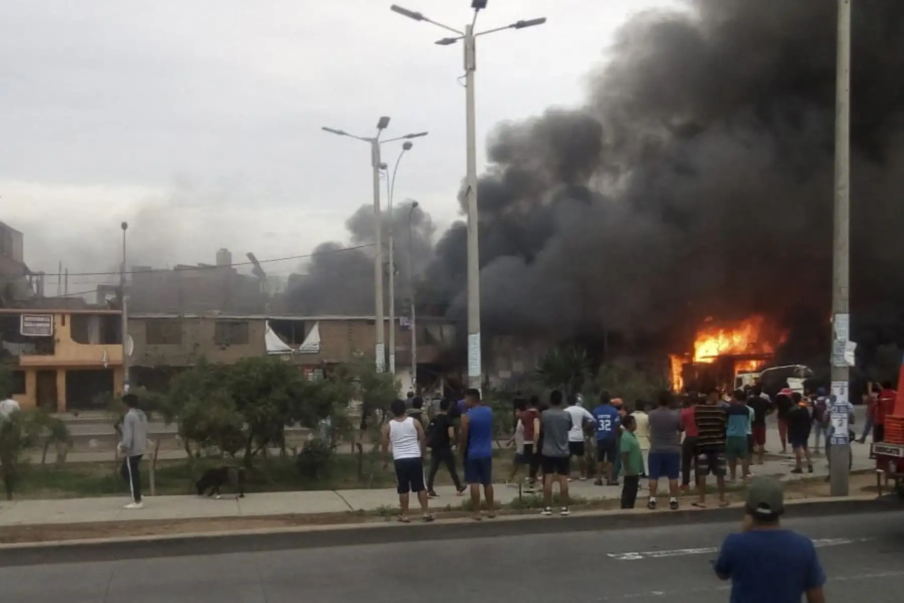 ANDINA/Difusión