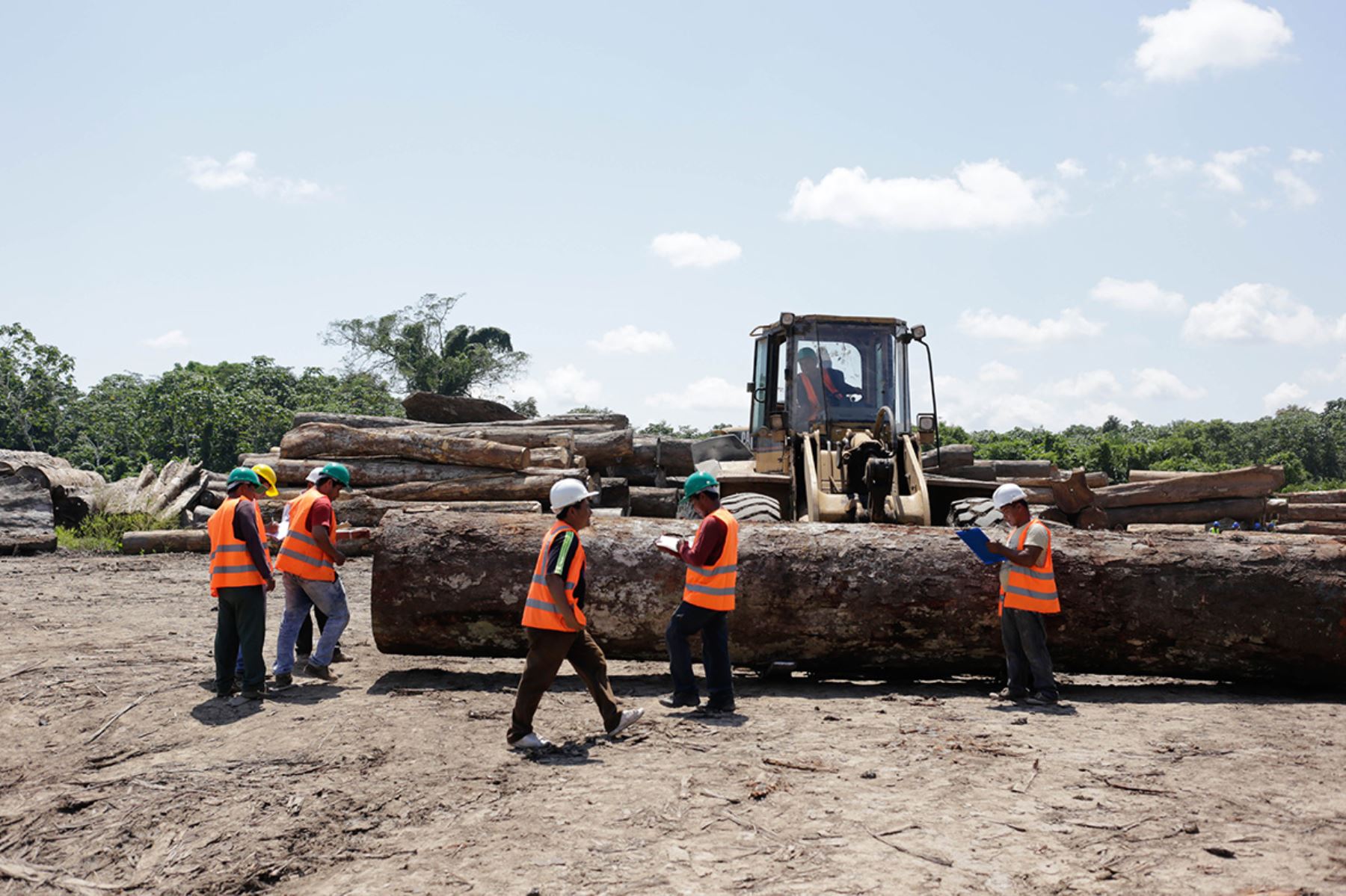Capacitarán a funcionarios regionales y líderes indígenas en el uso del libro de operaciones para el registro de información de la madera aprovechada y/o transformada en el bosque. ANDINA/Difusión