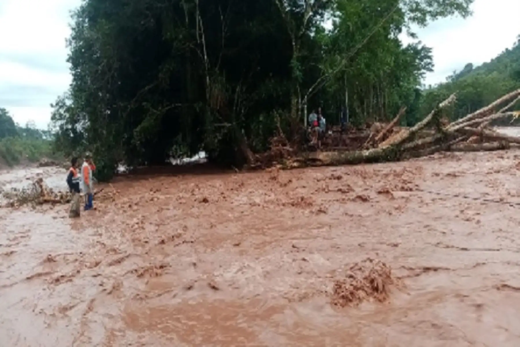 San Martín registró nuevo récord de lluvia al acumular 152,5 milímetros en 24 horas