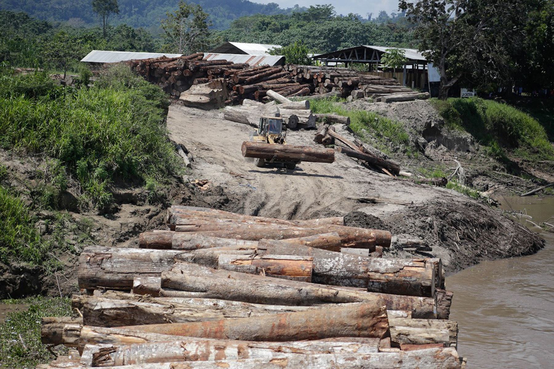 Loreto implementará sistema de compras de madera con origen legal y combatir de esta manera el tráfico ilegal de especies maderables. ANDINA/Difusión