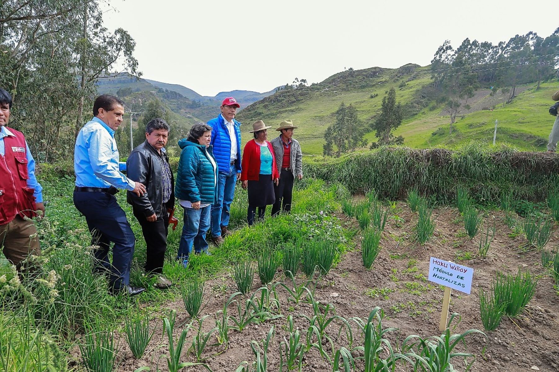 El programa Haku Wiñay del Midis impulsa proyectos productivos en la zona rural y apoya a la población a generar recursos con autonomía.
