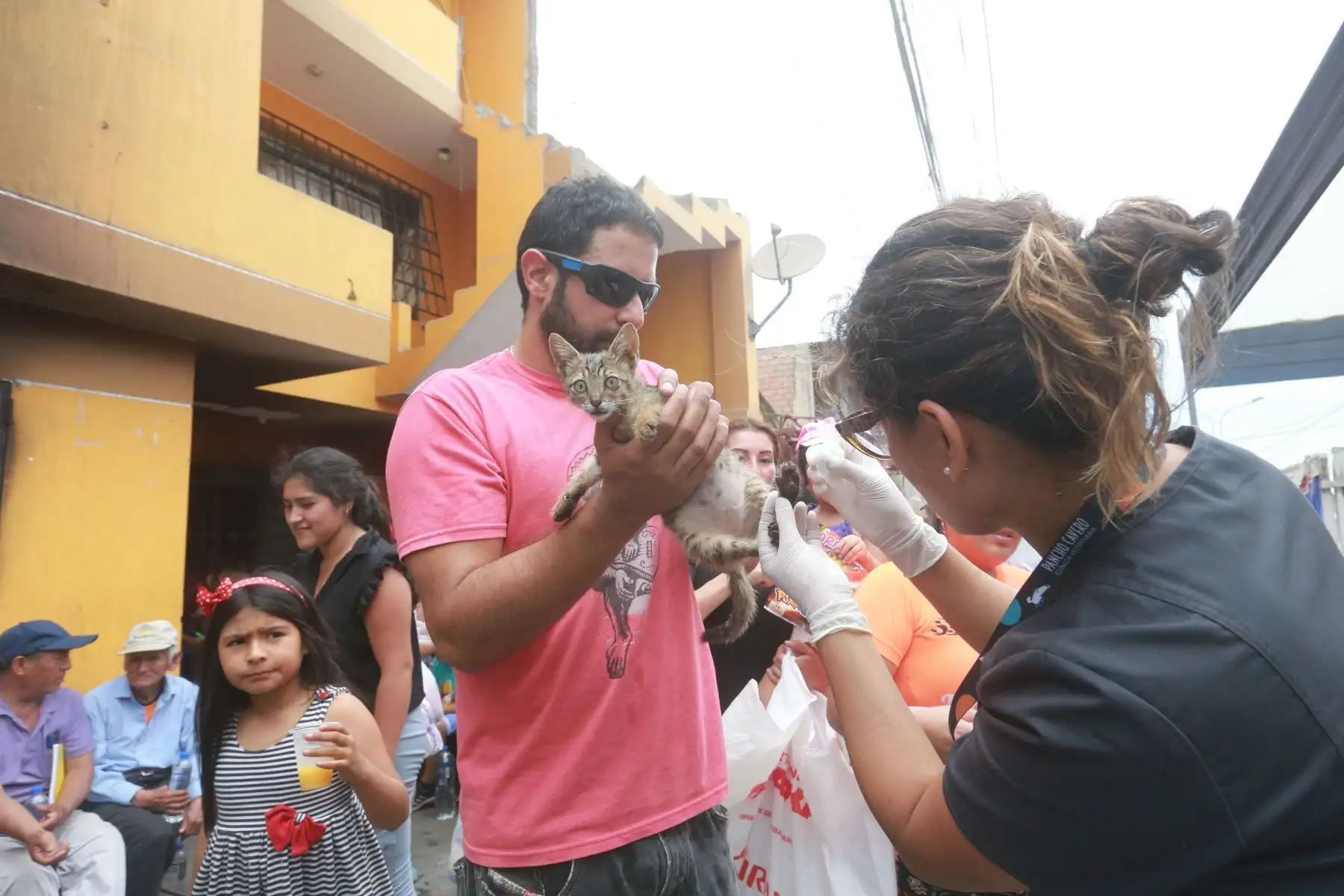 Veterinarios curan mascotas afectados por la deflagración e incendio  en Villa el Salvador. Foto: ANDINA/Jhony Laurente