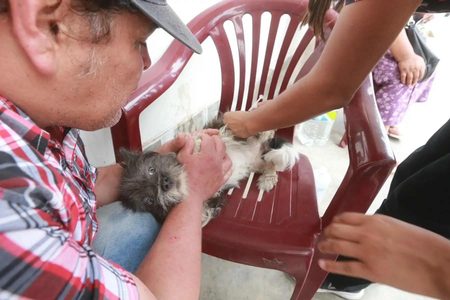 Veterinarios curan mascotas afectados por la deflagración e incendio  en Villa el Salvador. Foto: ANDINA/Jhony Laurente