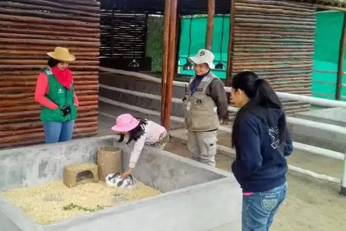 Parque las Leyendas convoca a voluntarios para cuidado de bienes naturales y culturales. Foto: ANDINA/Difusión.