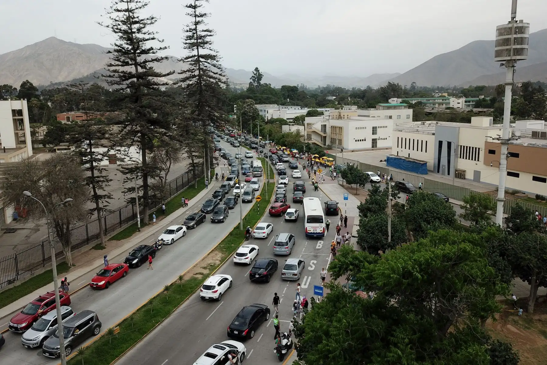 Imagenes tomadas con dron de la multitud de personas que llegan al centro de votación de la Universidad Agraria por las Elecciones Congresales Extraordinarias 2020. Foto: ANDINA/Juan Carlos Guzmán