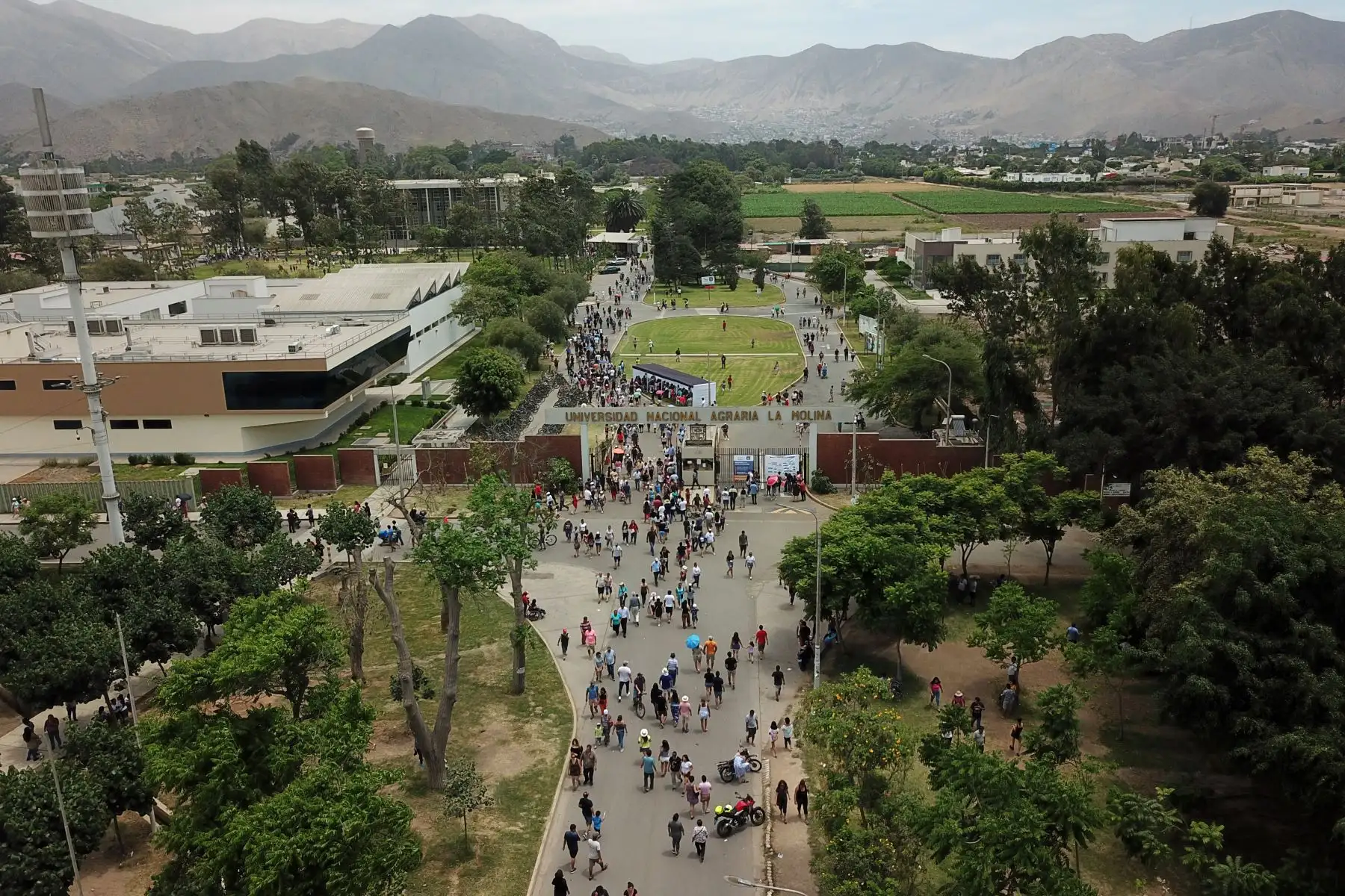 Imagenes tomadas con dron de la multitud de personas que llegan al centro de votación de la Universidad Agraria por las Elecciones Congresales Extraordinarias 2020. Foto: ANDINA/Juan Carlos Guzmán