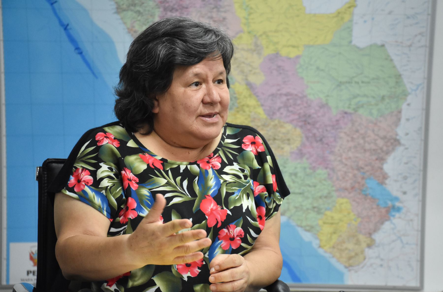 Ministra de Desarrollo e Inclusión Social, Ariela Luna. ANDINA/Difusión