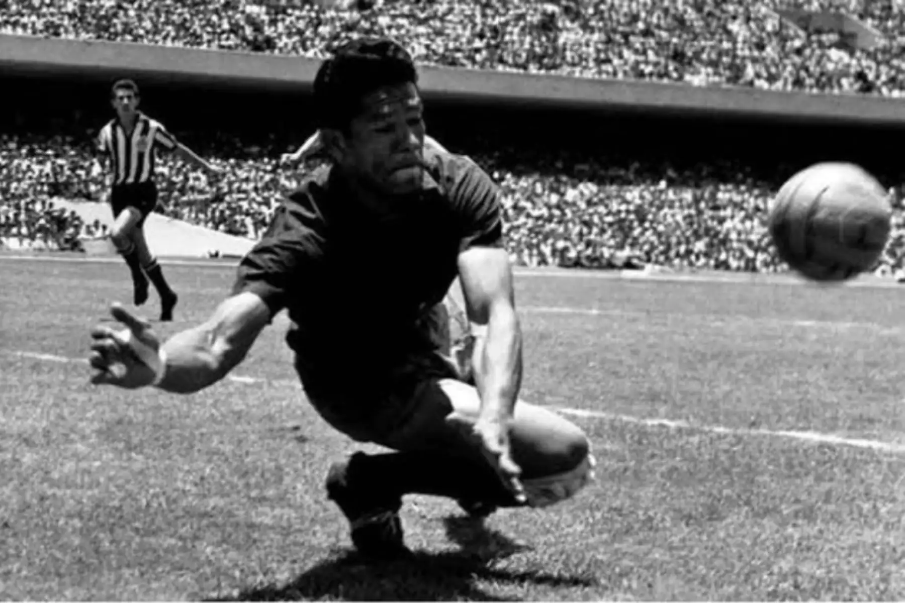 Walter Ormeño futbolista y director técnico peruano, jugaba en la posición de guardameta, caracterizado por su gran altura, formó parte de varios equipos, entre ellos: Universitario de Deportes, Alianza Lima, entre otros. En 1952 es contratado por el Boca Juniors de Argentina donde, permaneció por 3 temporadas.
