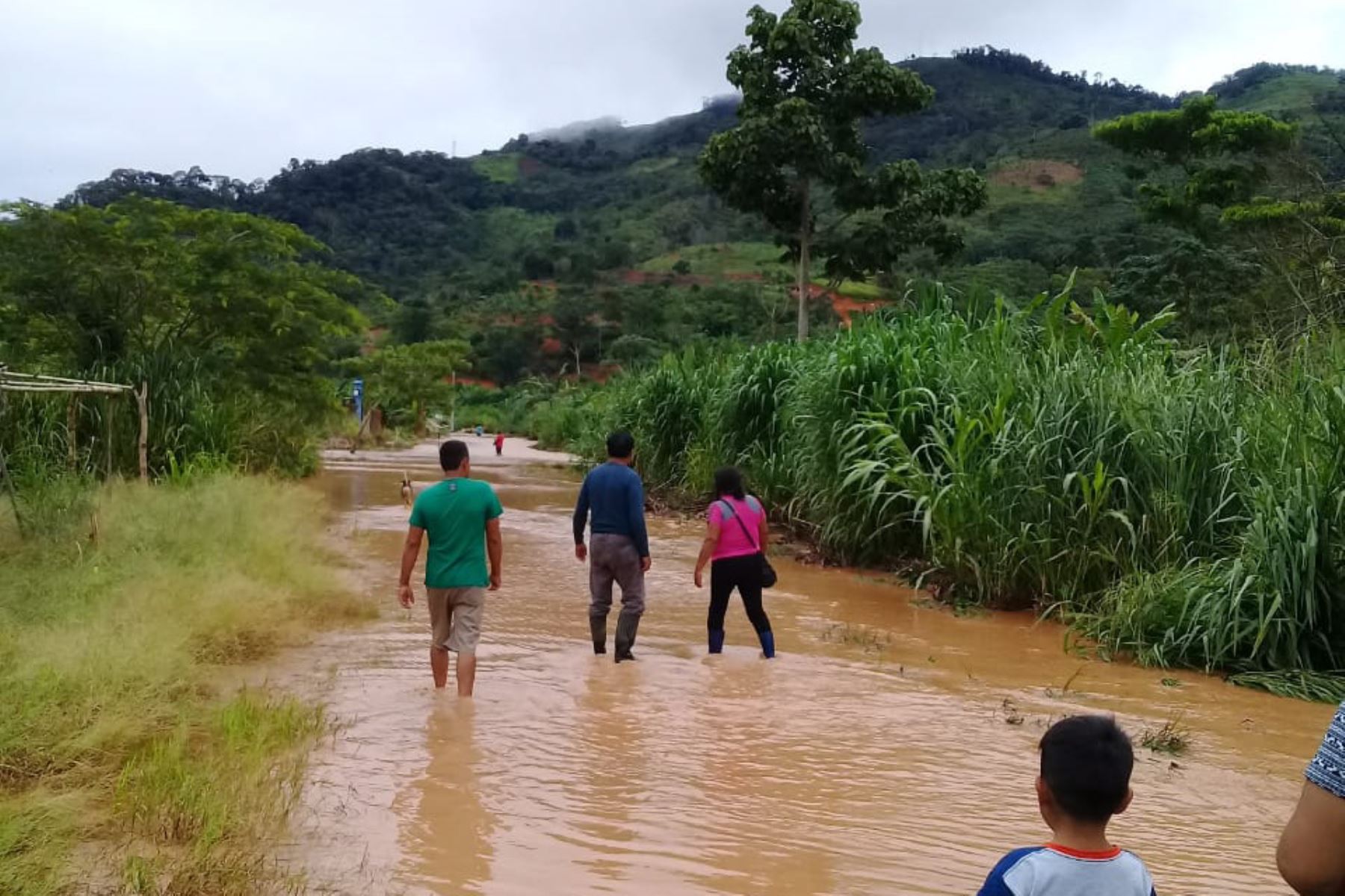 Lluvias torrenciales inundan viviendas y afectan cultivos en el distrito de Pangoa, provincia de Satipo, en la selva de Junín. ANDINA/Difusión